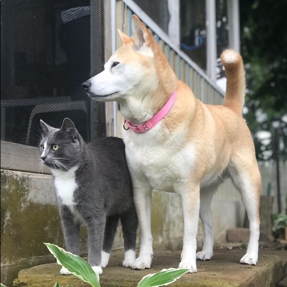 Meet your Posher, John - Picture 1 of 1